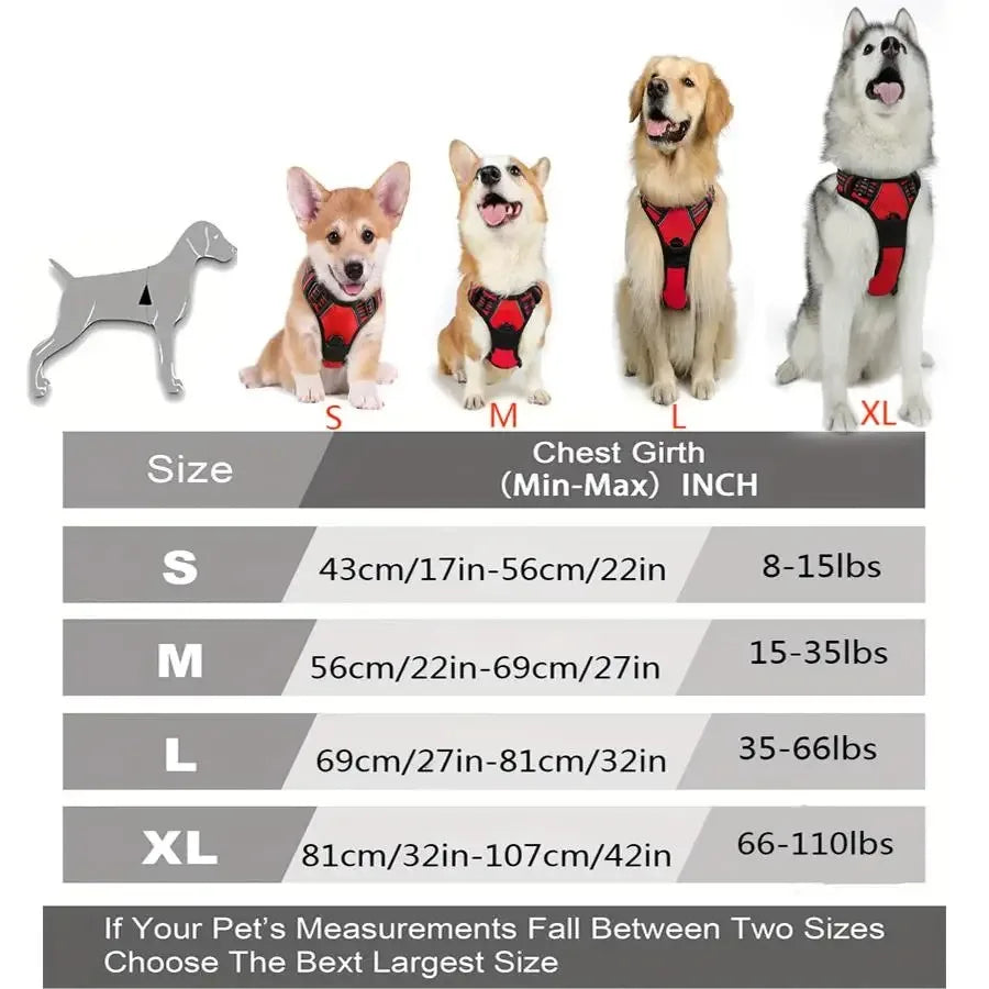 Chic Leather Dog Walking Set