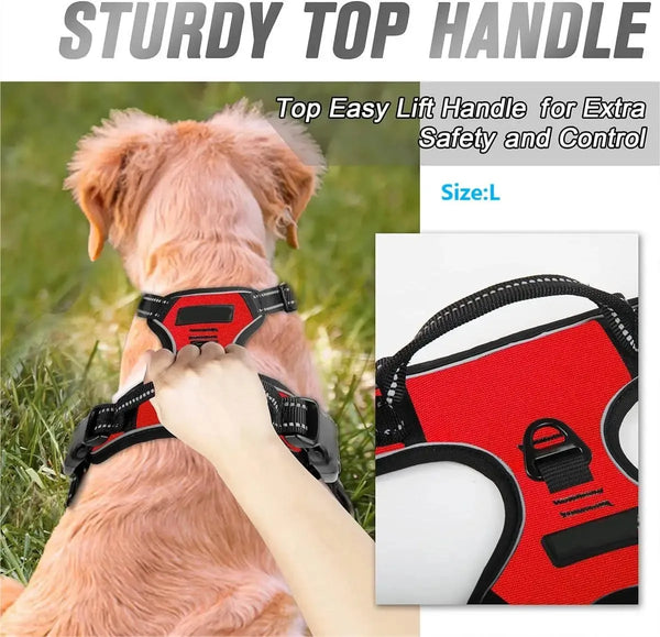 Dog-Collars-Harness-Big-Vests-Leash-Pet-Shop-Everything-for-Dogs-Leather-Puppy-Accessories-Medium-Small.jpg