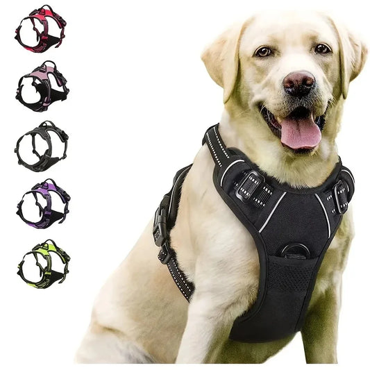 Chic Leather Dog Walking Set