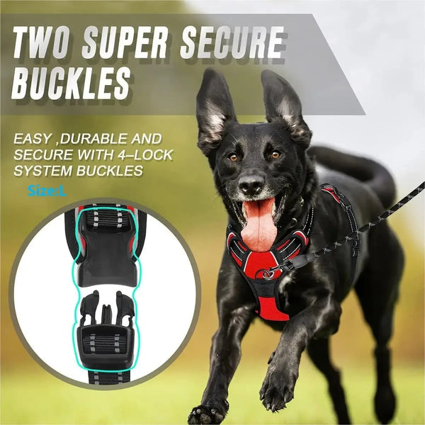 Chic Leather Dog Walking Set