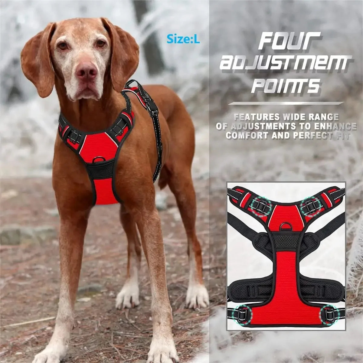 Chic Leather Dog Walking Set