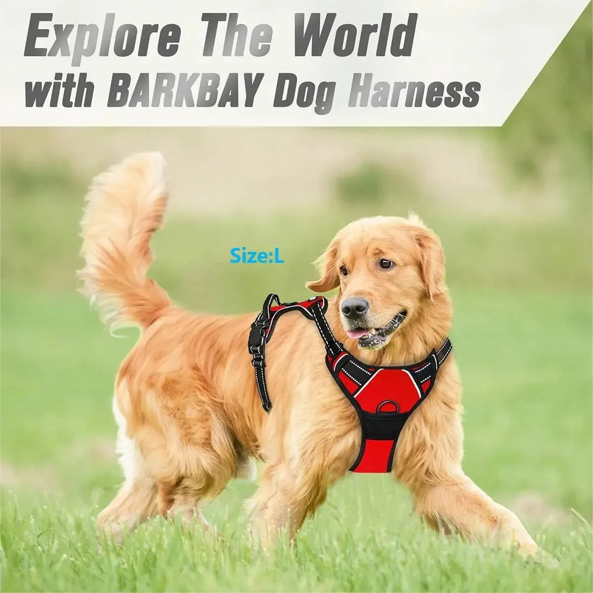 Chic Leather Dog Walking Set