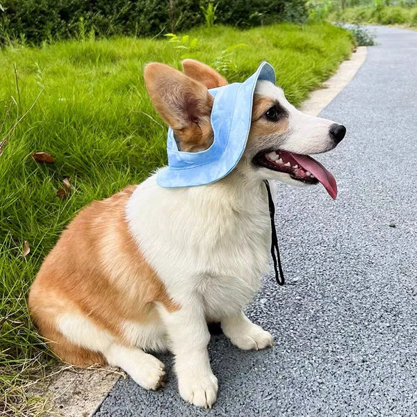 Pets-Hat-with-Ear-Holes-Adjustable-Baseball-for-Medium-Small-Dogs-Summer-Dye-Cats-Sun-Cap.jpg