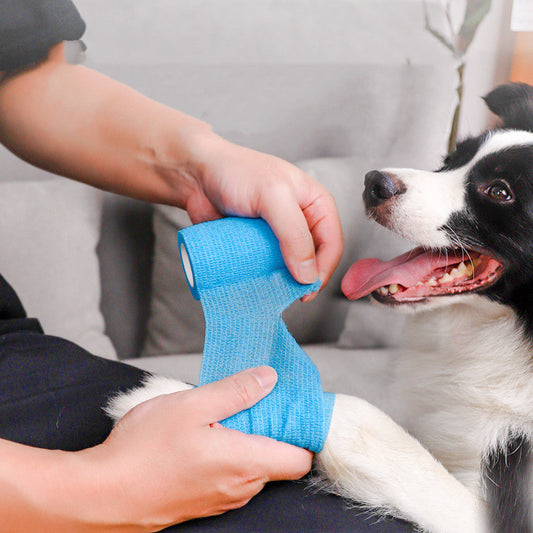 Paw Tape Prevents Dirt Dog Products